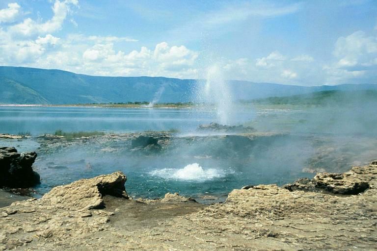 Geysers in Lake Bogoria